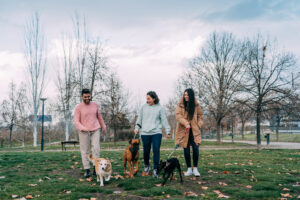 friends-out-walking-their-dogs-pets-good-for-your-health-.jpg